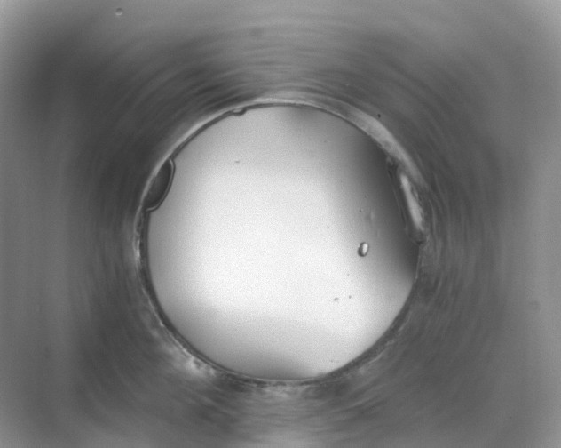 X0000068730908200605121515