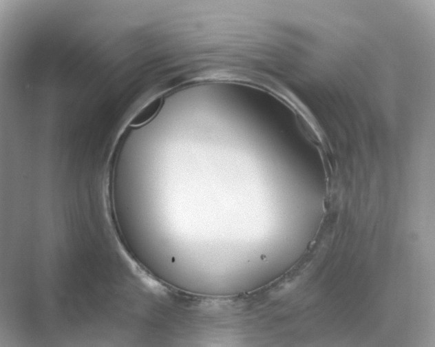 X0000068730909200605121515