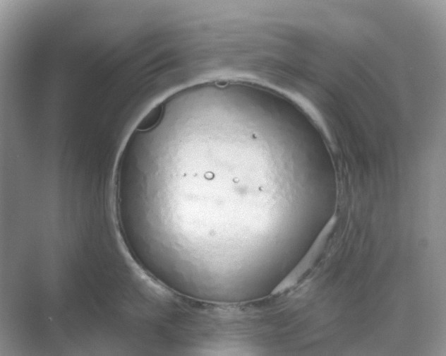 X0000068730911200605121515