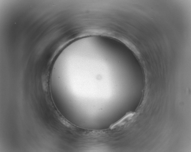 X0000068730912200605121515