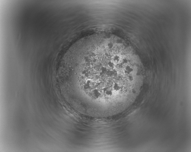 X0000068730913200605121514