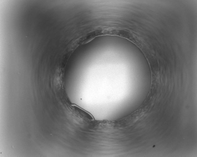 X0000068730914200605121514