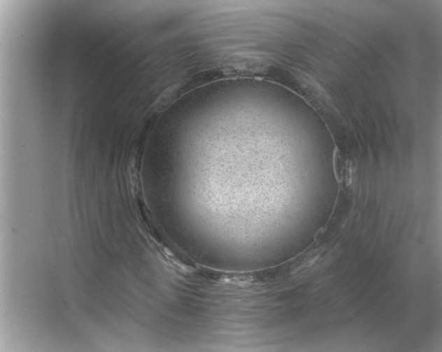 X0000068730915200605121514