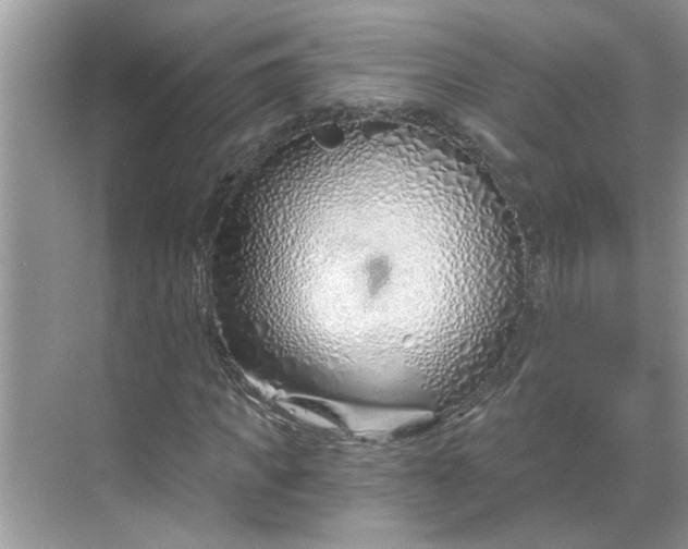 X0000068730917200605121514