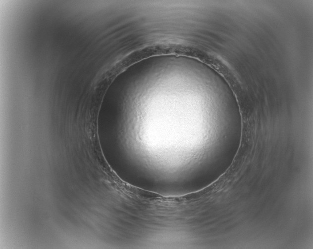 X0000068730919200605121514