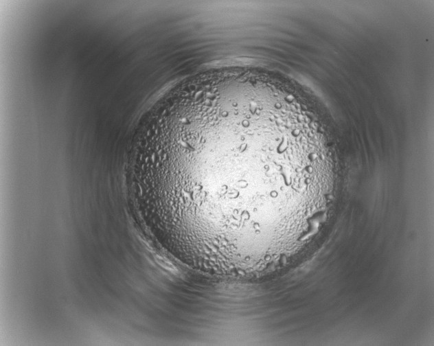 X0000068730921200605121514