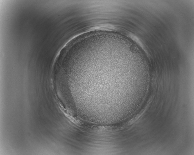 X0000068730923200605121514