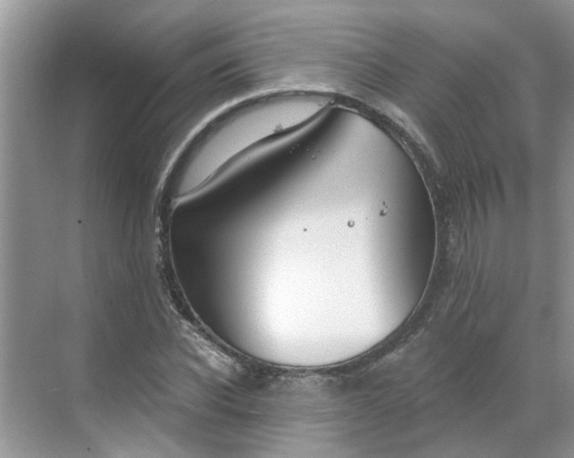 X0000068730926200605121514