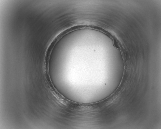 X0000068730927200605121514