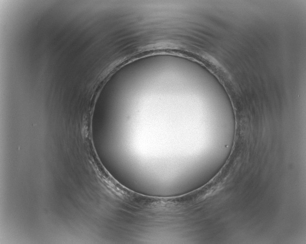 X0000068730929200605121514