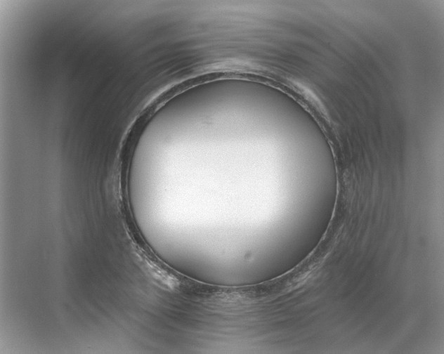 X0000068730931200605121514