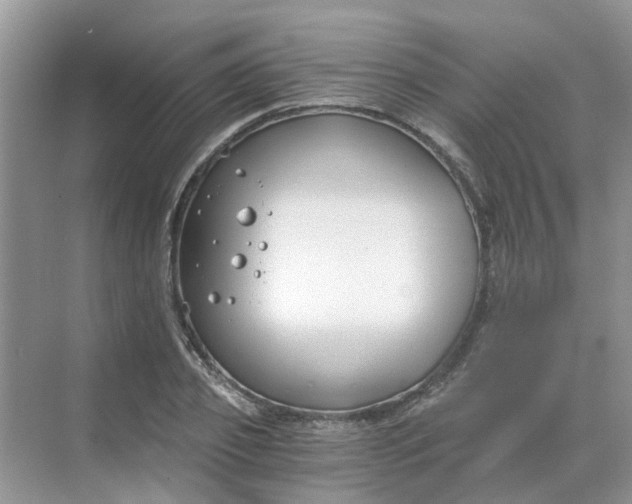 X0000068730933200605121514