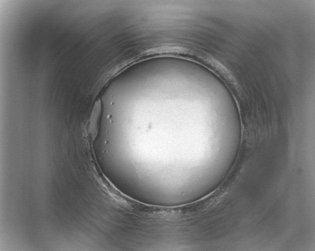 X0000068730937200605121514