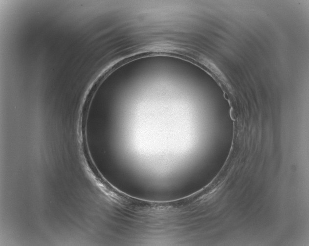 X0000068730939200605121514