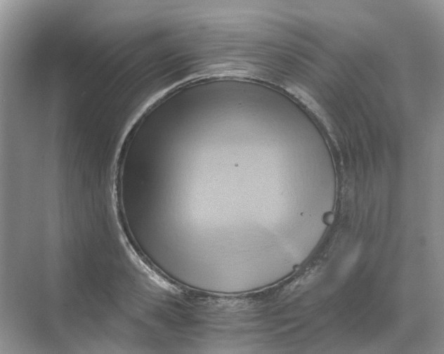 X0000068730941200605121514