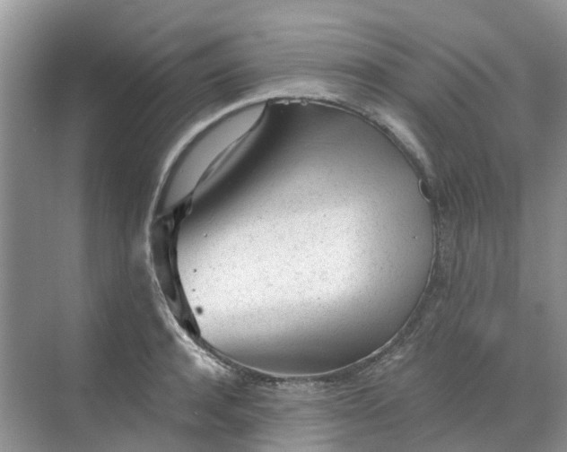 X0000068730944200605121514