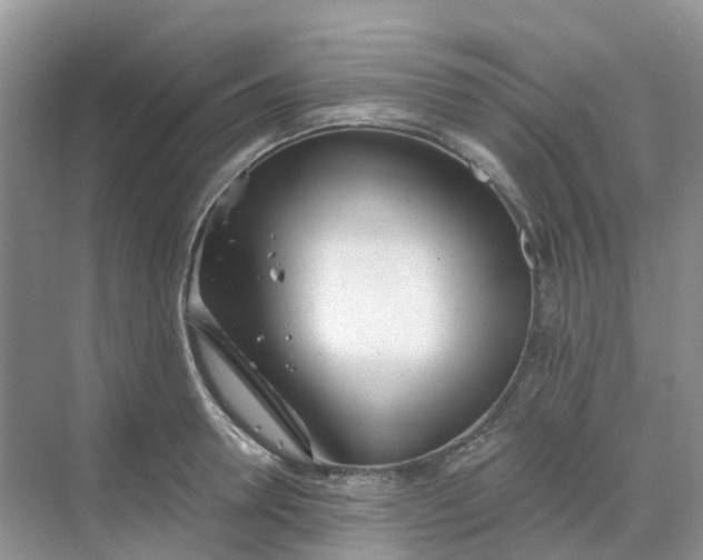 X0000068730946200605121514