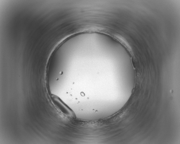 X0000068730948200605121514