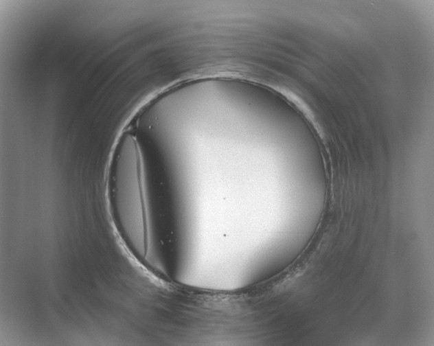 X0000068730949200605121514