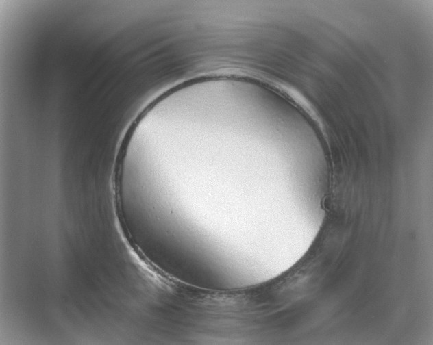 X0000068730951200605121514