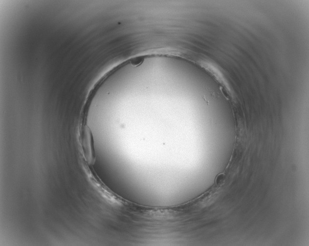 X0000068730952200605121514