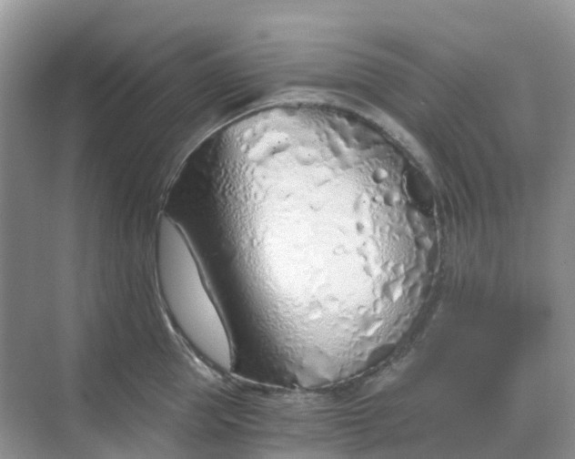 X0000068730953200605121514