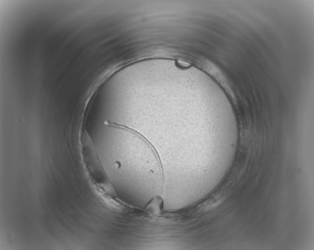 X0000068730954200605121514