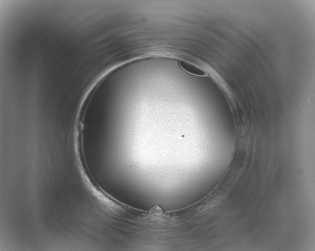 X0000068730955200605121514