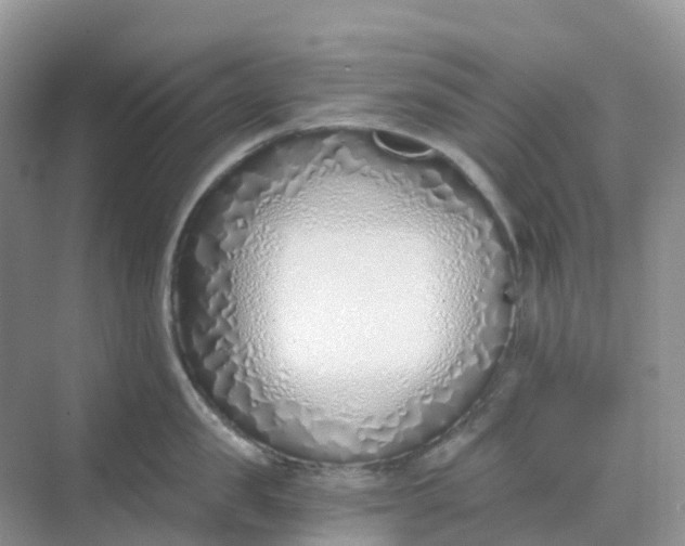 X0000068730957200605121514