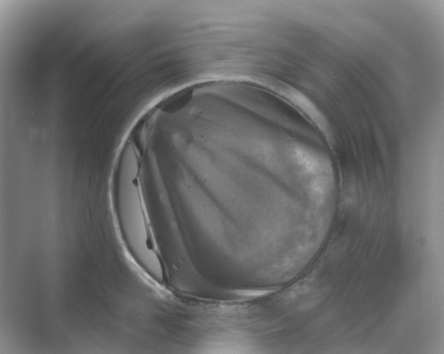 X0000068730958200605121515