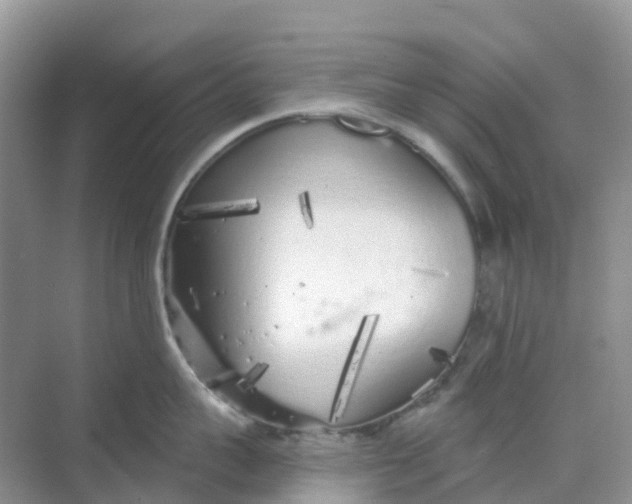 X0000068730959200605121515