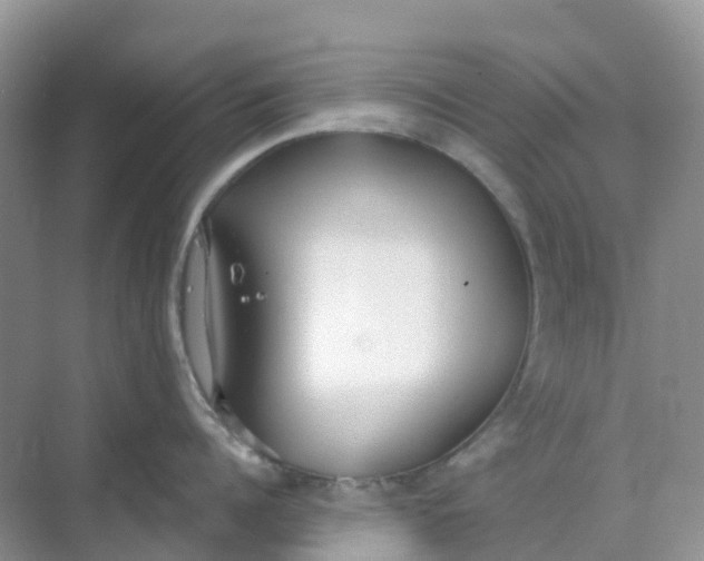 X0000068730960200605121515