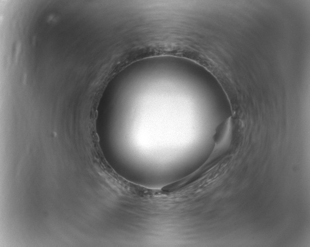 X0000068730961200605121514