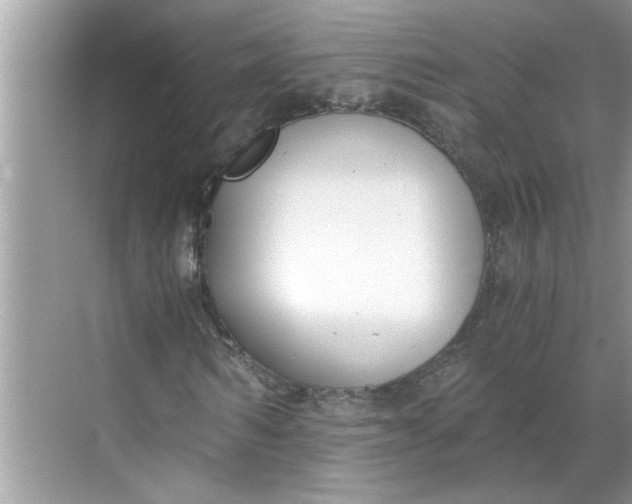 X0000068730962200605121514