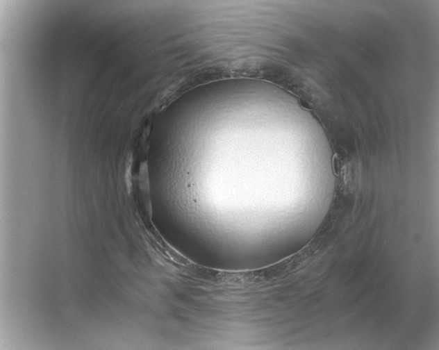 X0000068730963200605121514