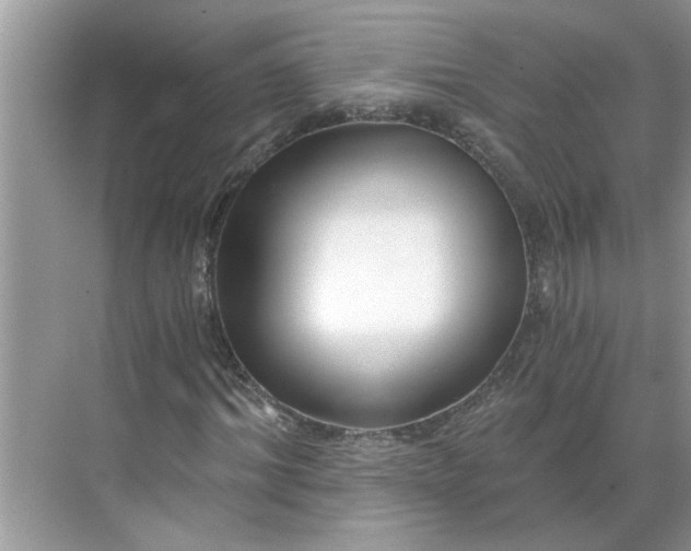 X0000068730964200605121514