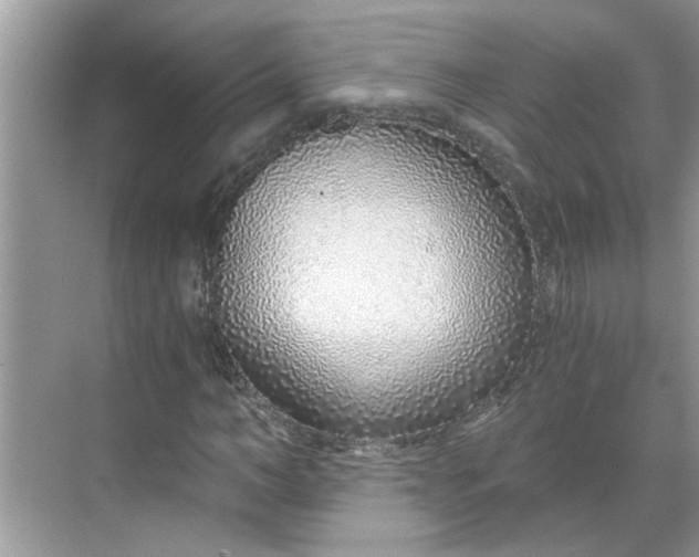 X0000068730966200605121514