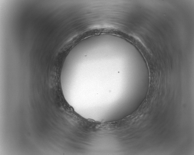 X0000068730967200605121514