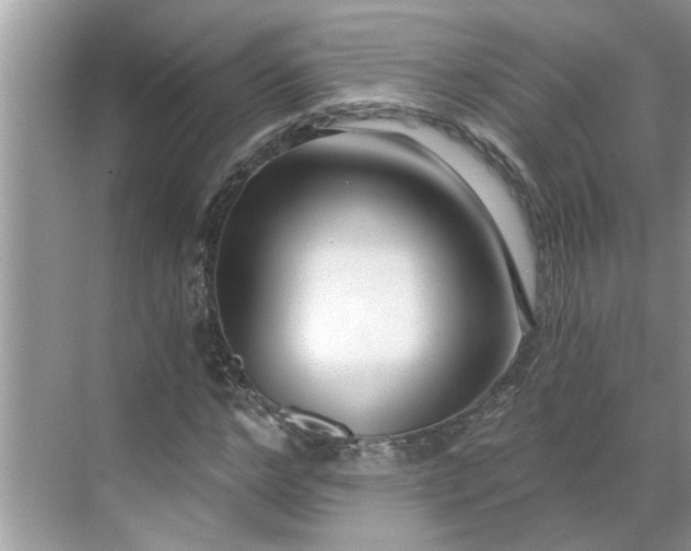 X0000068730968200605121514