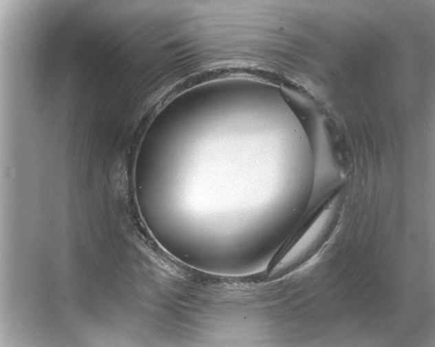 X0000068730969200605121514