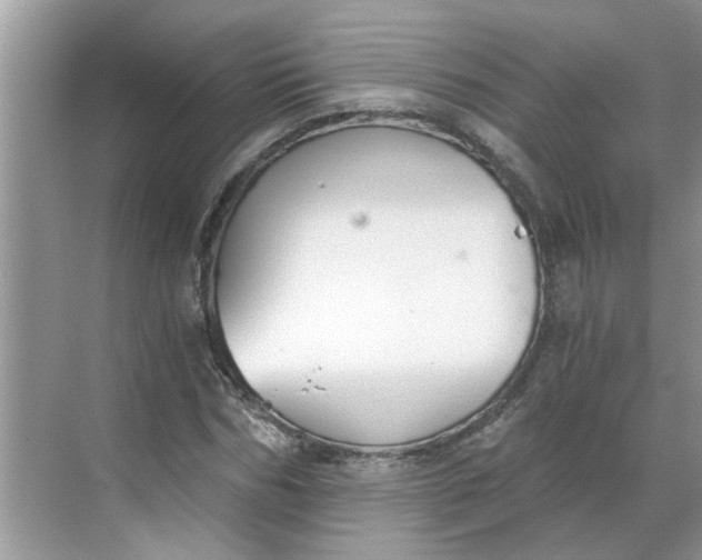 X0000068730970200605121514