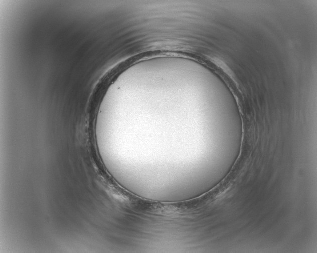 X0000068730971200605121514