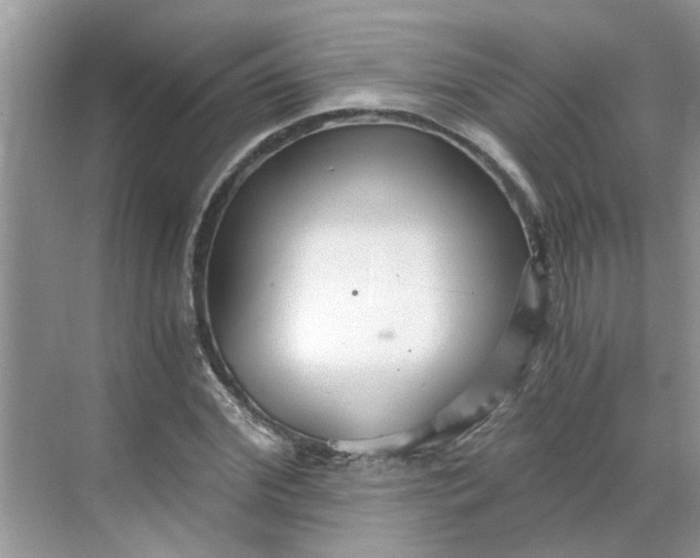 X0000068730972200605121514