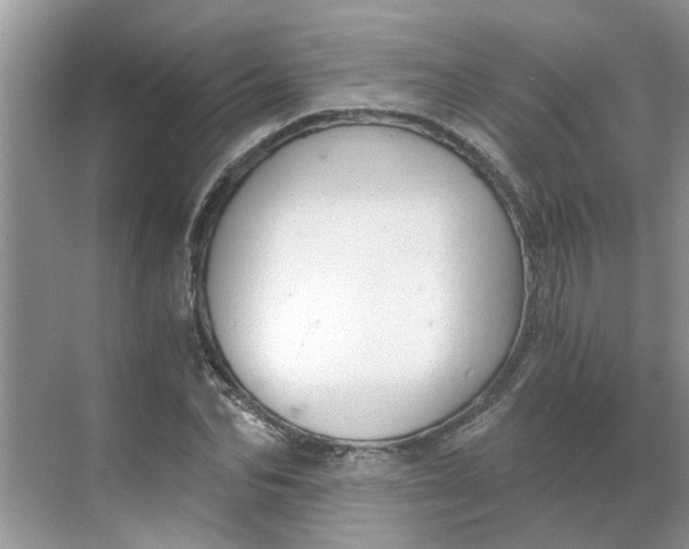 X0000068730974200605121514