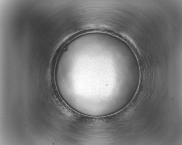 X0000068730975200605121514