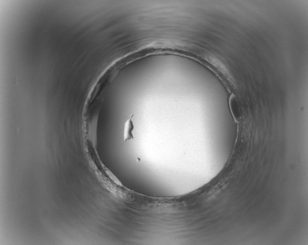 X0000068730976200605121513