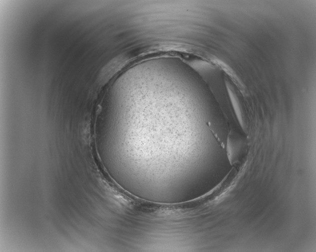 X0000068730977200605121513