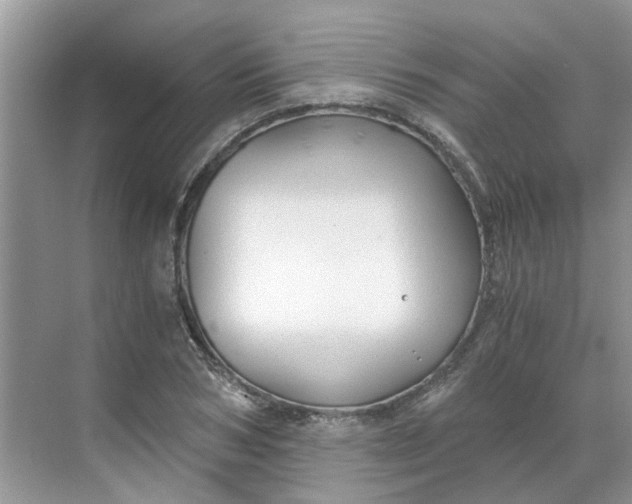 X0000068730978200605121513