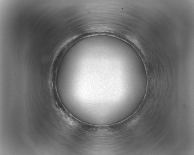 X0000068730979200605121513