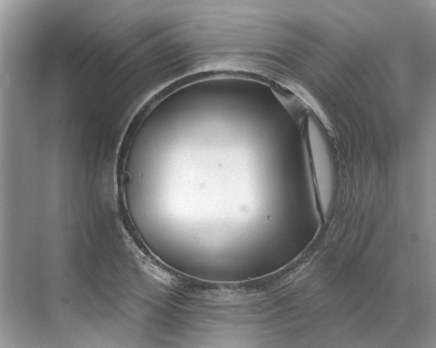 X0000068730980200605121513